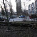 Reportažas iš uragano „Feliksas“ siaubiamos Klaipėdos – pavojai tyko ant kiekvieno kampo