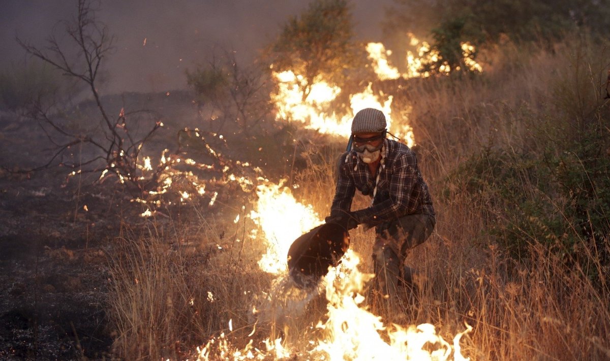 Miškų gaisrai Portugalijoje