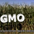 ES narės galės laisvai apsispręsti dėl GMO