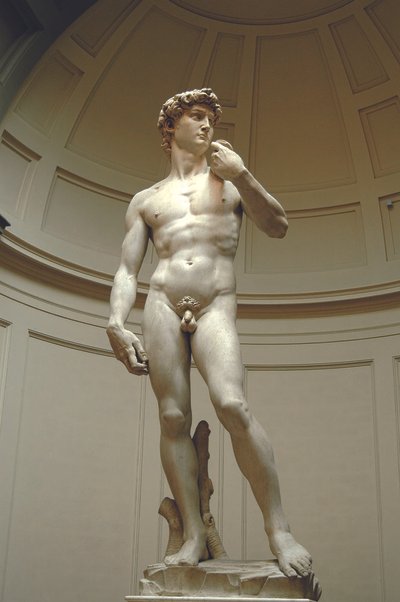 Dovydo skulptūros originalas dabar saugomas Akademijos galerijoje Florencijoje. Pradinę jos pastatymo vietą prie Senųjų rūmų puošia kopija.