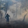Graikijos miškų gaisrai sukėlė prieš imigrantus nukreiptą pyktį
