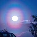 Fotografas Vytautas įamžino ypatingai gražų reginį: aplink saulę pasirodė spalvinga aureolė