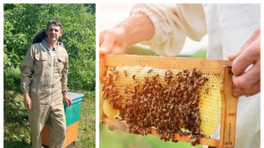 Paliko miestą, solidų uždarbį ir kaime ėmė prižiūrėti bites – ekspertai sako, kad judėjimas iš didmiesčių į regionus tik spartės