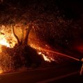 Kalifornijoje siaučiant dideliems krūmynų gaisrams paskelbta didelė evakuacija