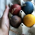 5 lengvi būdai kiaušinius marginti natūraliai: puikiausi margučiai ir nė lašo dažų