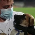 Rumunijos futbolininkai suvirpino širdis: į aikštelę išėjo nešini beglobiais šuniukais