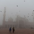Tirštas smogas paralyžiavo Indijos sostinę