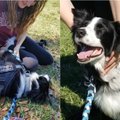 Po tragedijos mokinius gelbsti terapinis šuo