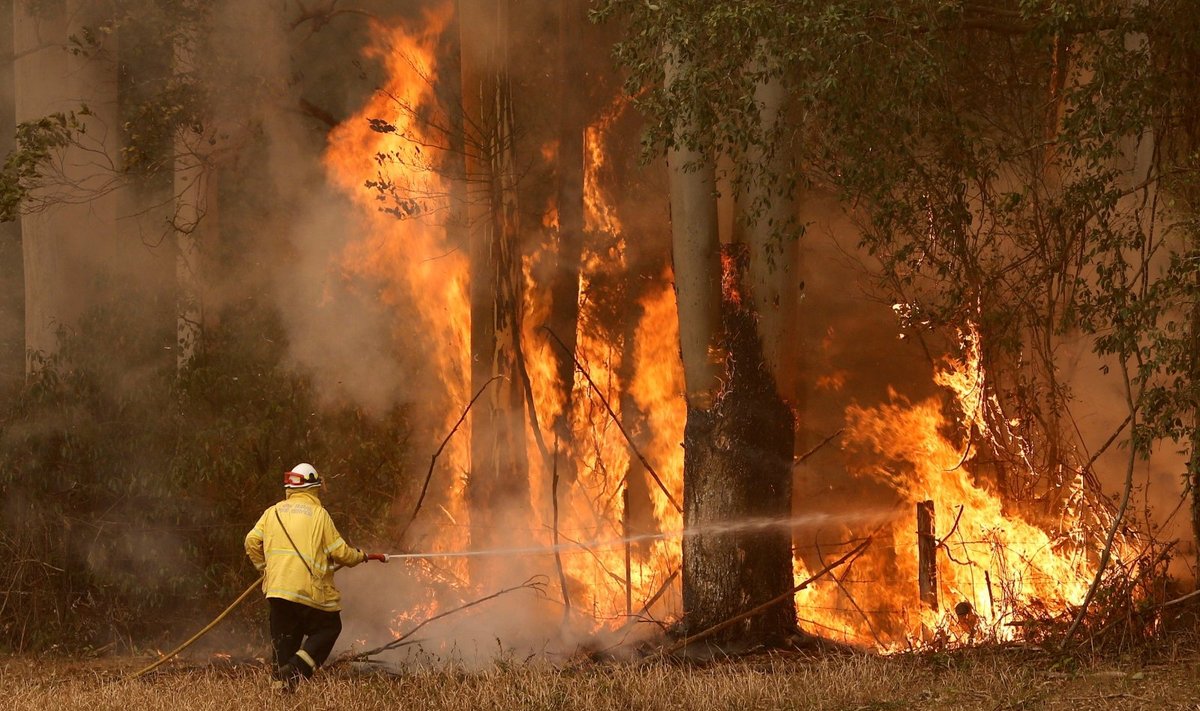 Australiją niokoja miškų ir krūmynų gaisrai