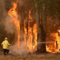 Australijoje siaučiant gaisrams žuvo jau 4 žmonės
