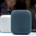 „Apple“ kolonėlę „HomePod“ įsigiję žmonės skundžiasi, kad ši gadina medinius baldus