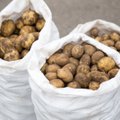 Kokios bulvių, medaus ir baravykų kainos provincijos turguje – vilniečius tai gali šokiruoti