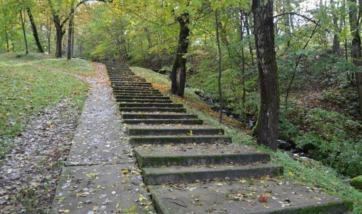 Salantų dvaro parkas