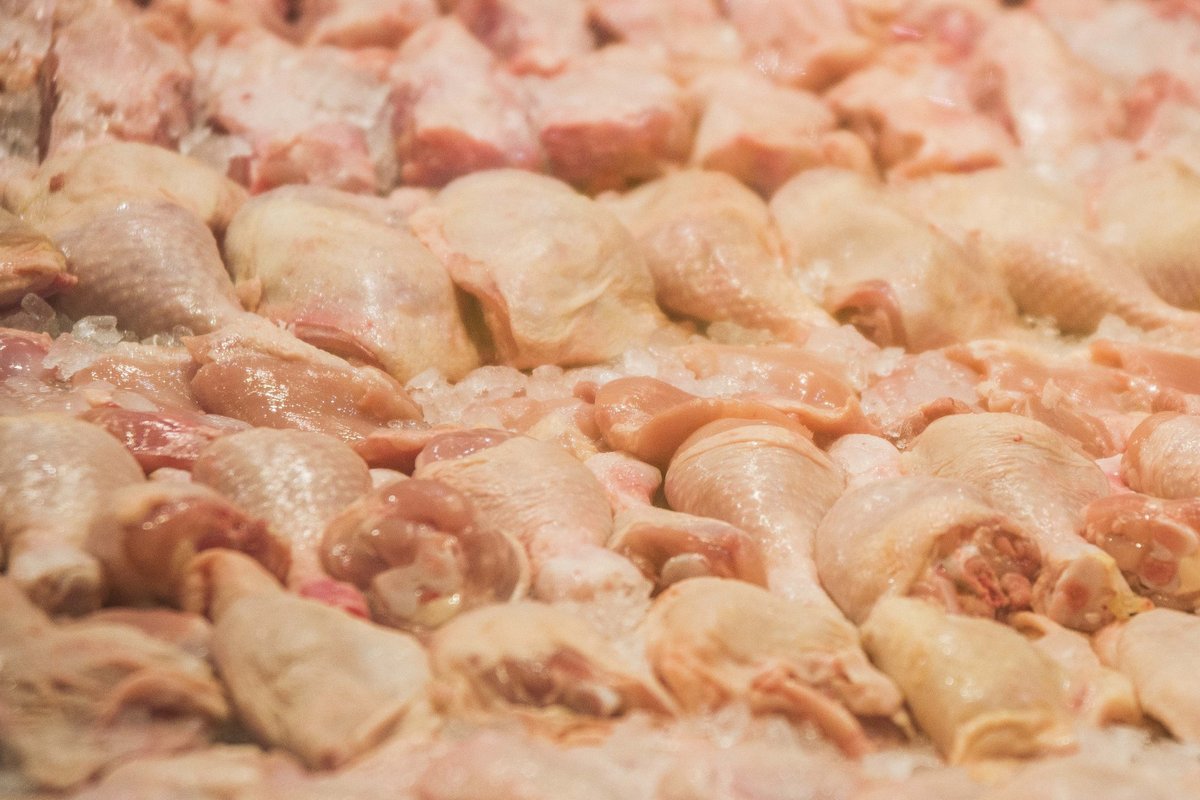 Wielka Brytania planuje zakazać importu kurczaków z Polski w związku z przypadkami salmonellozy