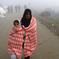 В Германию в ближайшие годы прибудут до 500 тысяч сирийцев