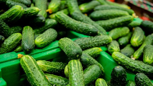Turguje pavasarinių daržovių ir žalumynų bumas – kiek kainuoja lietuviški agurkai