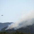 WWF: gaisras Graikijos nacionaliniame parke parodė politikos ydas