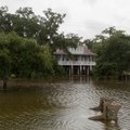 Susilpnėjusi audra „Barry“ tebekelia potvynių ir tornadų pavojų JAV