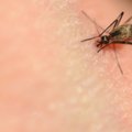 Lietuvoje – antras maliarijos atvejis