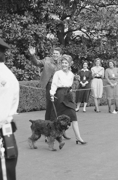 JAV prezidentas Reaganas ir žmona Nancy keliauja link Baltųjų rūmų su augintine Lucky 
