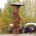 Ignalinos rajone prikeltas nulūžęs 300 metų senumo ąžuolas