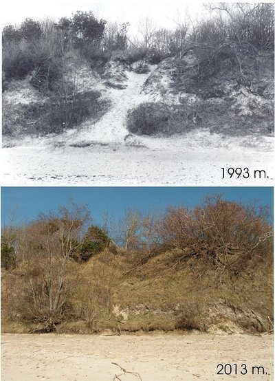 Pastaruosius maždaug 20 metų morenos klifas ties Karklės kapinaitėmis nepatyrė didesnių pokyčių. Net praūžę „Anatolijaus“ (1999 m.) ir „Ervino“ (2005 m.) uraganai ryškesnio pėdsako čia nepaliko. (nuotraukos D. Jarmalavičiaus)