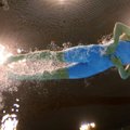 Триумф 15-летней олимпийки Мейлутите стал хитом в интернете