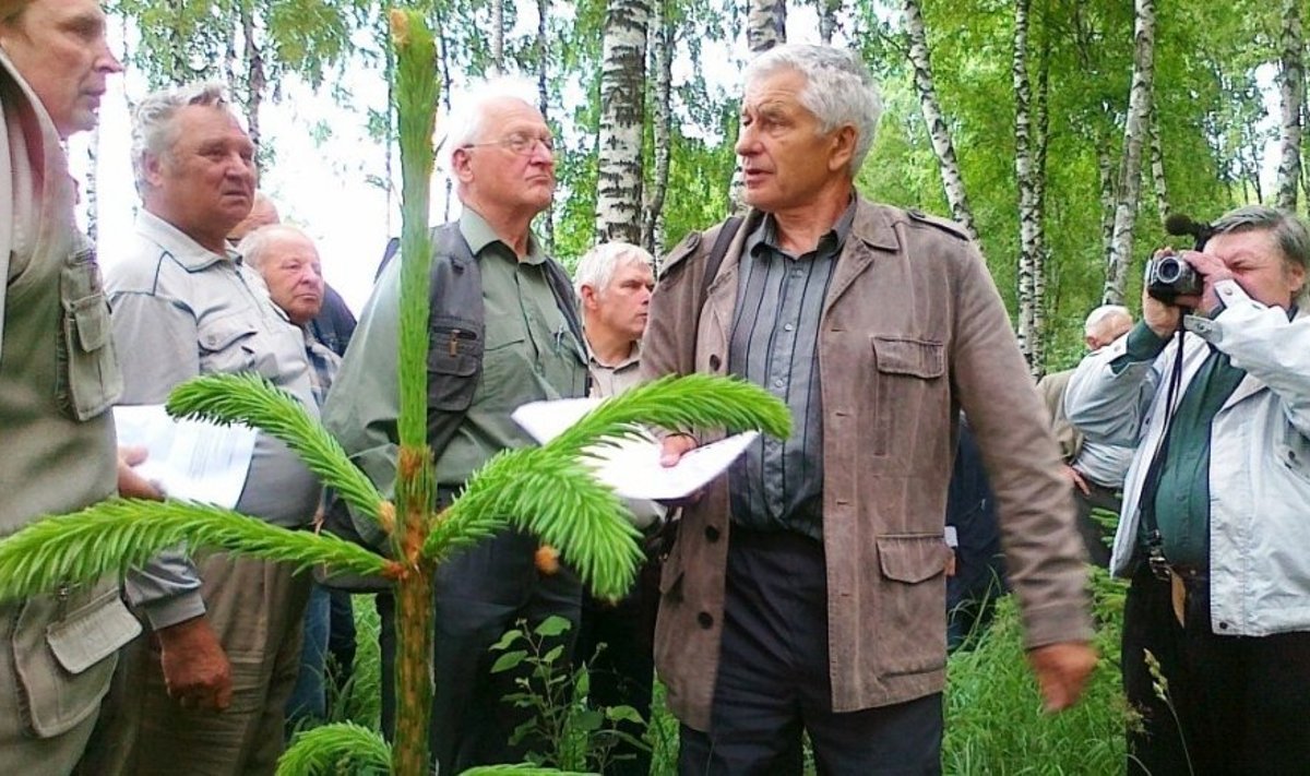 Praėjusių metų nugalėtojo Antano Šablauskio privatus miškas Raseinių raj.