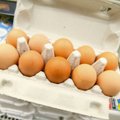 Salmoneliozės protrūkį sukėlė kiaušiniai iš parduotuvės