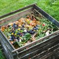 Kaip teisingai paruošti kompostą ir kaip kompostuoti obuolius