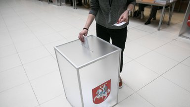 Almost 23,000 Lithuanians living abroad register to vote in parliament election