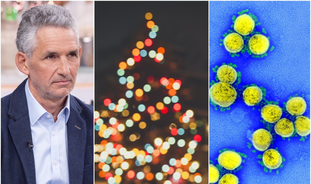 T. Spectoras įspėja, kad bent penkerios Kalėdos bus aptemdytos koronaviruso.VidaPress/NIAID nuotr.