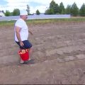 Buvęs kolūkio pirmininkas A. Lukašenka kasė bulves savo rezidencijoje