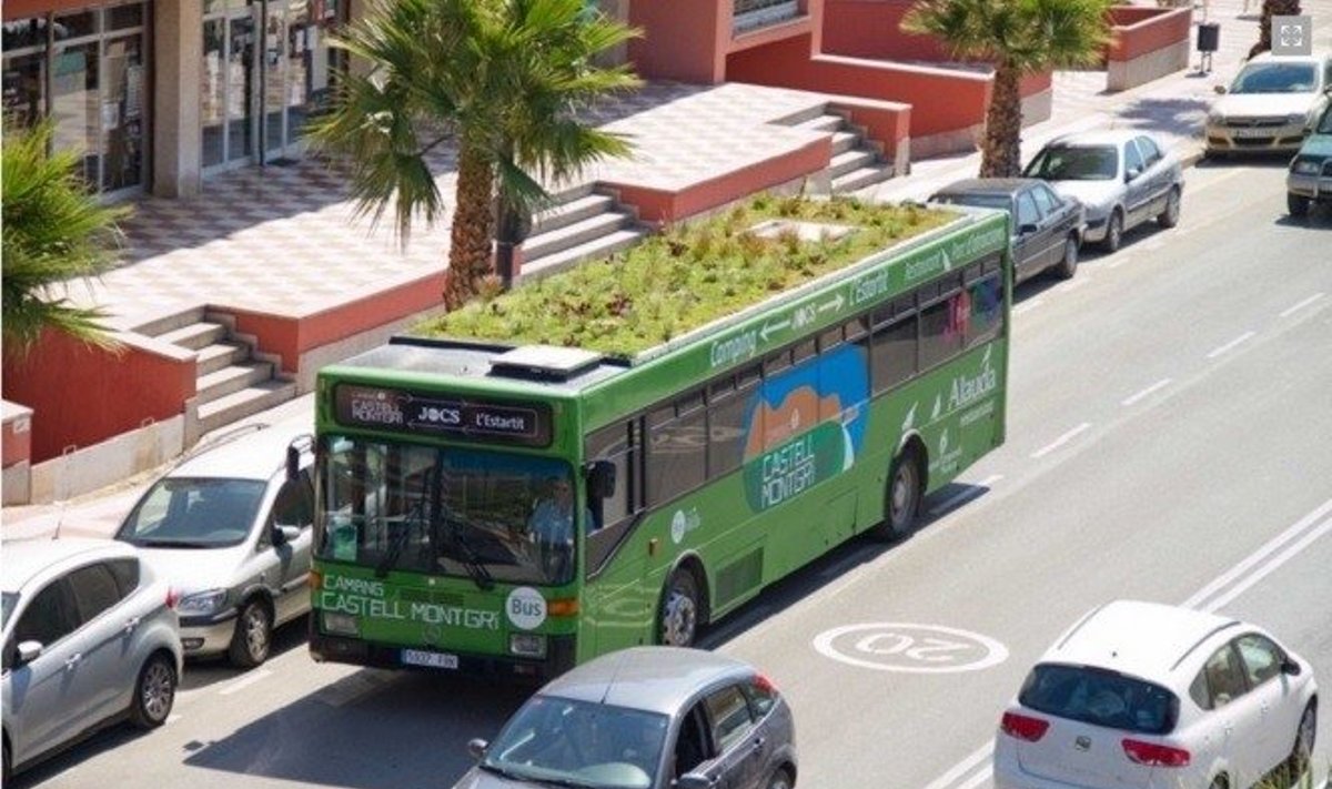 Žaliojo stogo autobusas Ispanijoje