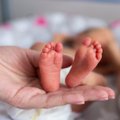 Муниципалитет Вильнюсского района планирует увеличить подарочную корзину для новорожденных
