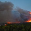 Didžiulis miško gaisras Graikijoje: liepsnoja „nekontroliuojamai“