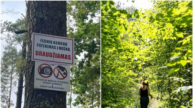 Miške draudžiantys lankytis ženklai privertė sudvejoti – eiti ar ne? Taisyklės, kurios padės susiorientuoti ir išvengti rimtų nemalonumų