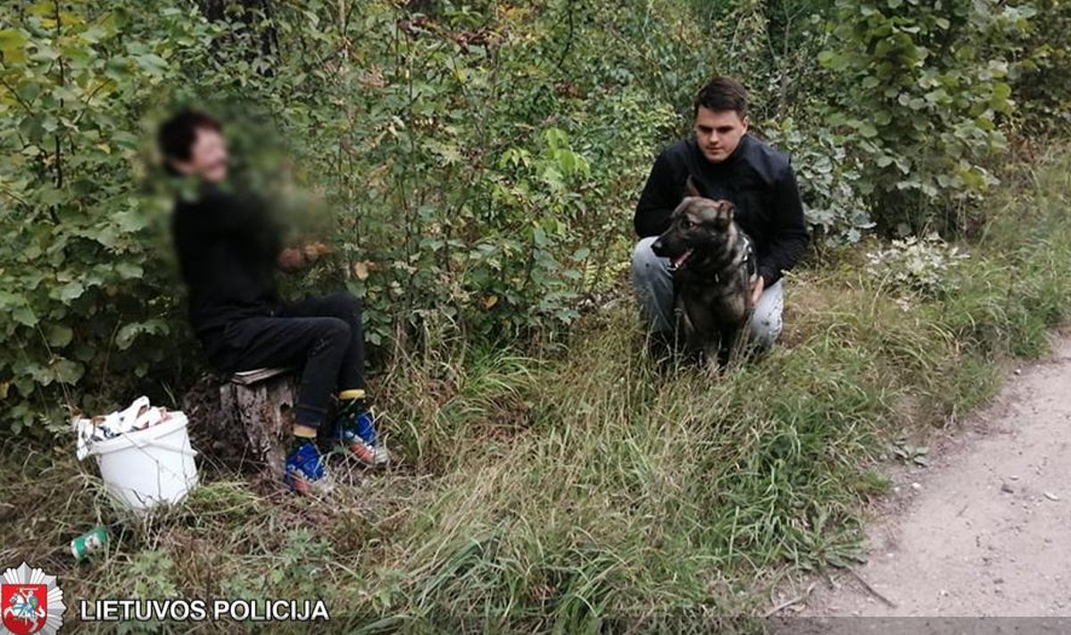Miške pasiklydusią moterį išgelbėjo šuo