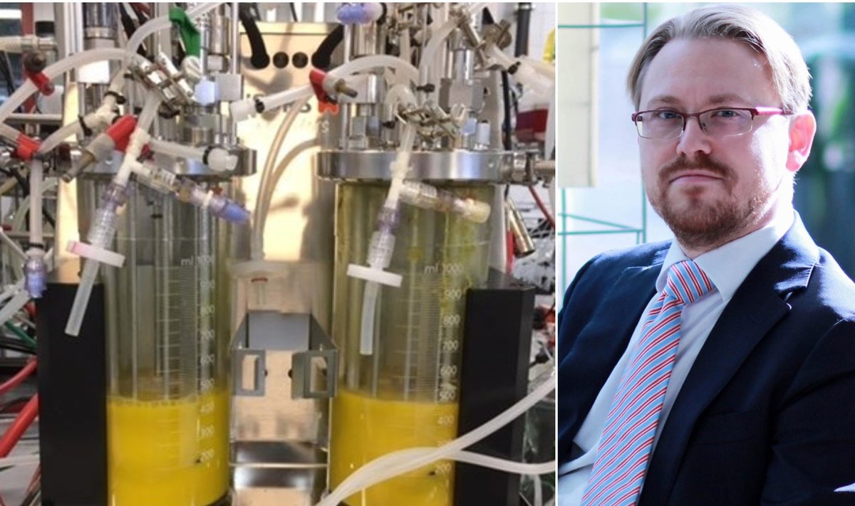 Vladas Sniečkus, eksperimentinės fermentacijos eigoje gauta „Auksinė chlorelė“
