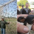 42 metus su paukščiais dirbantis Vytautas Jusys: sąraše – daugiau nei 780 tūkst. sužieduotų sparnuočių