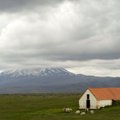 Dėkingumas Islandijai – ir už gyvenimo meilę