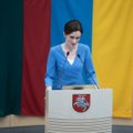 Reputacijos valdymo ekspertė: Viktorijos Čmilytės-Nielsen žodžiai labiausiai pakenks ne jai pačiai