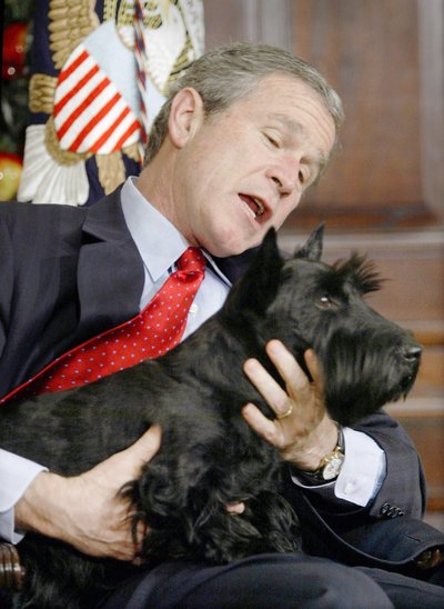 JAV prezidentas George W. Bushas laiko rankose Barney