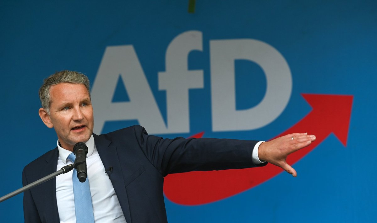 Björnas Höckė, AfD lyderis