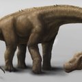 Argentinoje rastas iki šiol nežinomos rūšies dinozauro skeletas