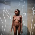 Paaiškėjo, kad neandertaliečiai ir šiuolaikiniai žmonės nevengdavo lytinių santykių
