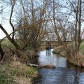 Raseinių rajone užterštas upelis: į jį įtekėjo klijai