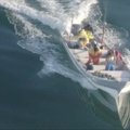 Didžiulės žuvies gelbėjimo operacija - aplinkosaugininkų išplatintame vaizdo įraše