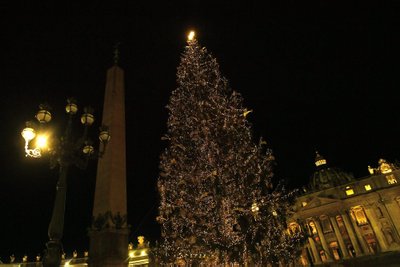 Vatikano Kalėdų eglė