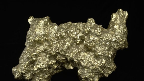 Tai – didžiausias kada nors rastas aukso grynuolis, jo svoris – pribloškiantis